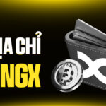 Hướng Dẫn Chi Tiết Cách Lấy Địa Chỉ Ví BingX An Toàn & Chính Xác (Cập Nhật Mới Nhất 2026)