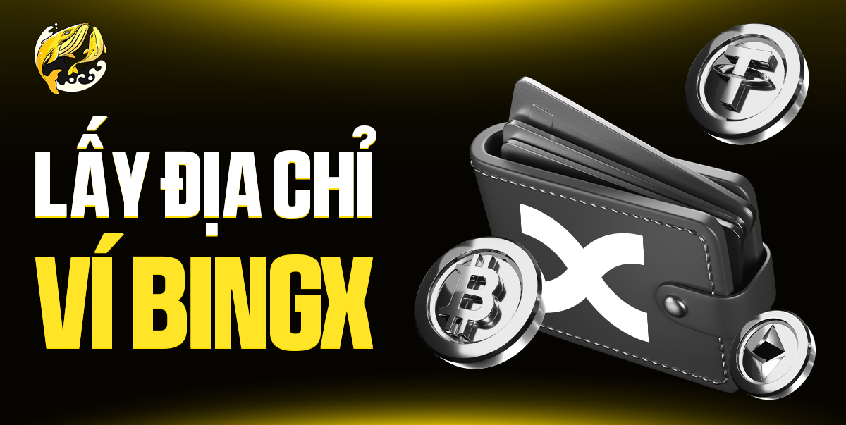 Hướng Dẫn Chi Tiết Cách Lấy Địa Chỉ Ví BingX An Toàn Và Chính Xác 2026