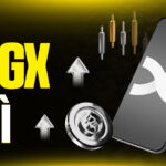 BingX Là Gì? Sàn Giao Dịch Crypto & "Trường Học" Cho Mọi Nhà Đầu Tư