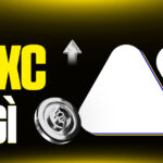 MEXC Là Gì? Sàn 'Altcoin Hunter' Với Phí 0% – Liệu Có Thật Sự An Toàn Giữa Các 'Lùm Xùm' Từ Cộng Đồng?