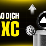 Phí Giao Dịch MEXC: Hướng Dẫn Toàn Diện Từ A-Z & Chiến Lược Tối Ưu Lợi Nhuận