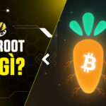 Taproot Là Gì? Khám Phá Bản Nâng Cấp Thầm Lặng Thay Đổi Tương Lai Bitcoin