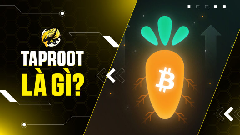 Taproot Là Gì? Khám Phá Bản Nâng Cấp Thầm Lặng Thay Đổi Tương Lai Bitcoin