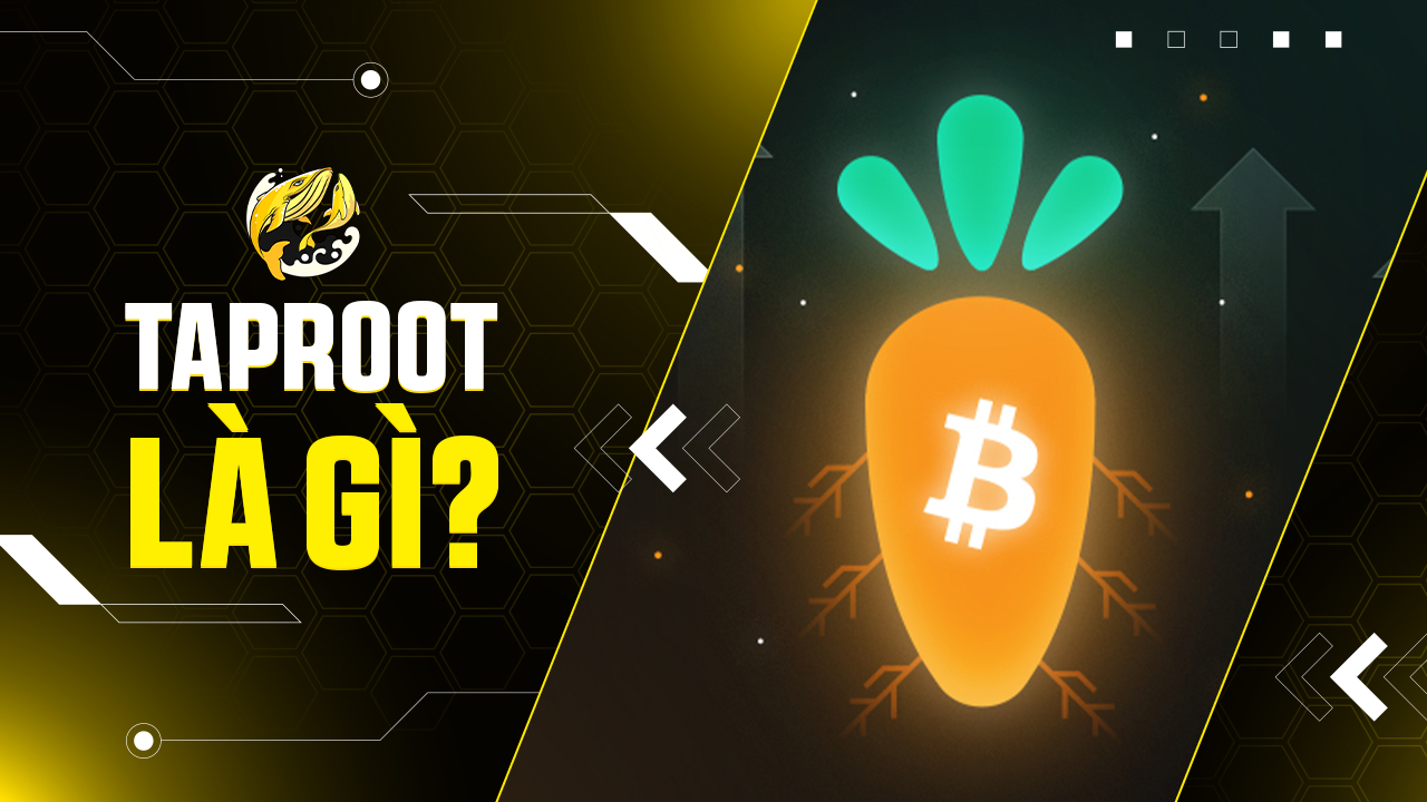 Taproot Là Gì? Khám Phá Bản Nâng Cấp Thầm Lặng Thay Đổi Tương Lai