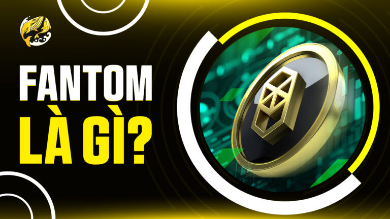 Fantom Là Gì? Lịch Sử, Công Nghệ Và Tương Lai Sonic