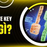 Private Key Là Gì? Bảo Vệ Chìa Khóa Vàng Cho Kho Báu Crypto Của Bạn!