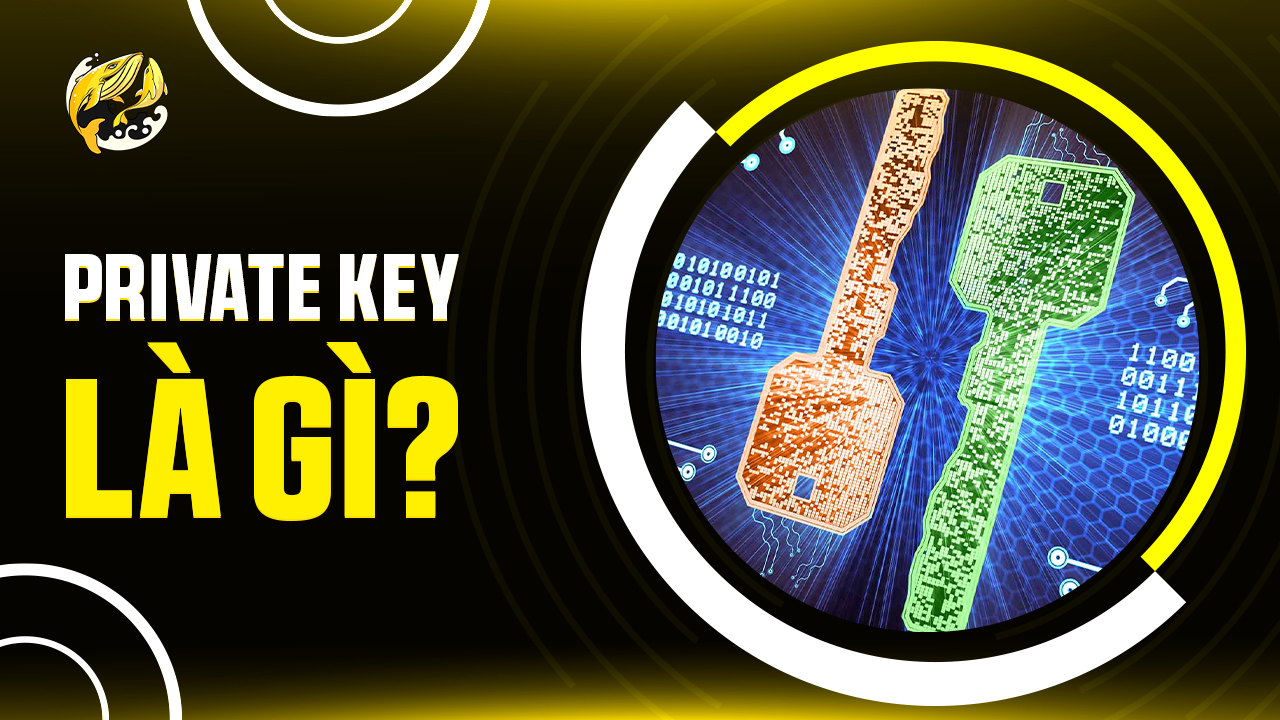 Private Key Là Gì? Bảo Vệ Chìa Khóa Vàng Cho Kho Báu Crypto Của Bạn