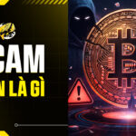 Scam Coin Là Gì? Bảo Vệ Tài Sản Crypto Khỏi Cạm Bẫy Lừa Đảo Tinh Vi Nhất