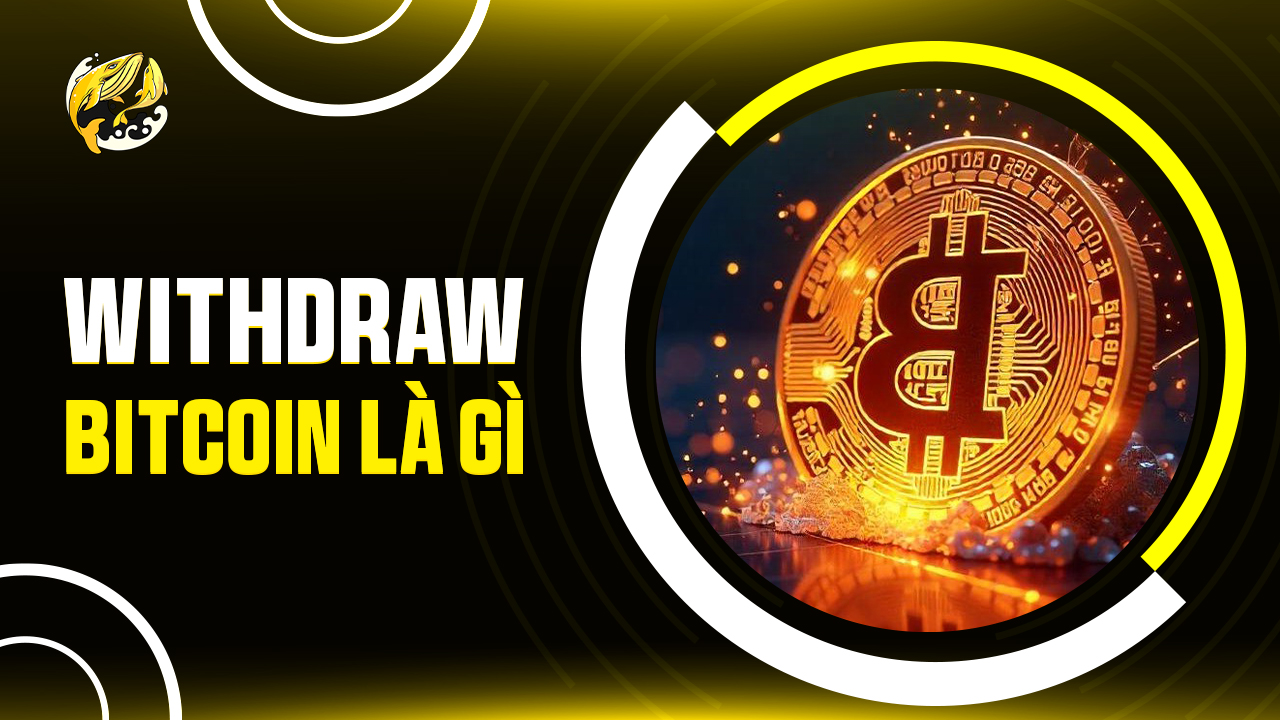 Withdraw Bitcoin Là Gì? Hướng Dẫn Toàn Diện Rút BTC An Toàn
