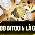 ICO Bitcoin Là Gì? Giải Mã Hiểu Lầm Và Những Điều Cần Biết Về ICO Đến 2026