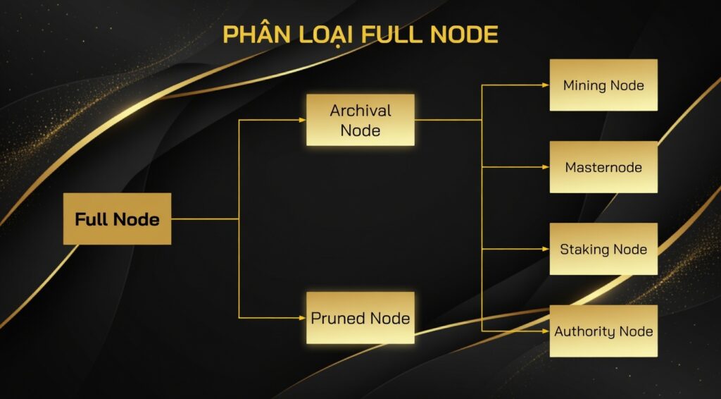 Full Node có thể được phân loại dựa trên cách chúng lưu trữ dữ liệu. Cứ như thư viện có nhiều phiên bản vậy.
