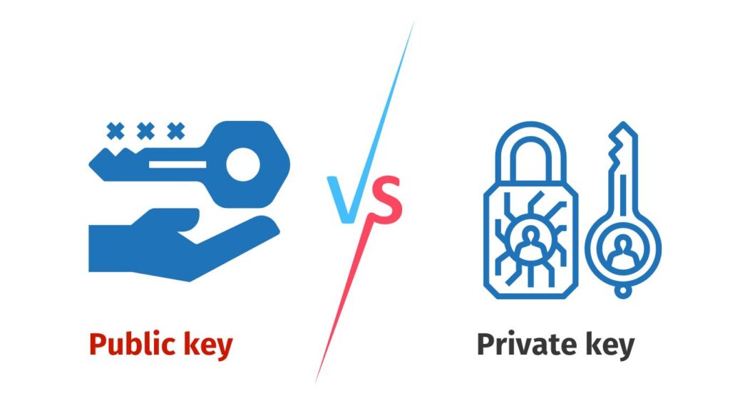 Khóa riêng tư và khóa công khai là nền tảng hoạt động của ví Bitcoin.