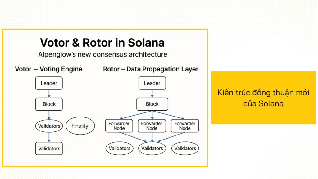 Kiến trúc độc đáo của Solana, nổi bật với Proof of History, giúp nó đạt được tốc độ vượt trội.