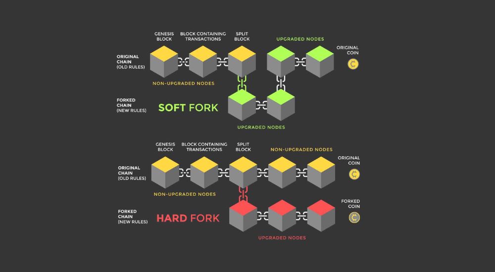 Sự khác biệt cơ bản giữa Soft Fork và Hard Fork nằm ở khả năng tương thích ngược của chúng.