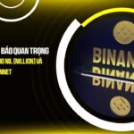 binance thong bao quan trong tich hop erc20 cho nil nillion va ngung ho tro mainnet