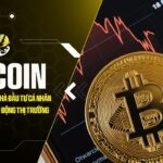bitcoin ca voi chot loi nha dau tu ca nhan bat day giua bien dong thi truong