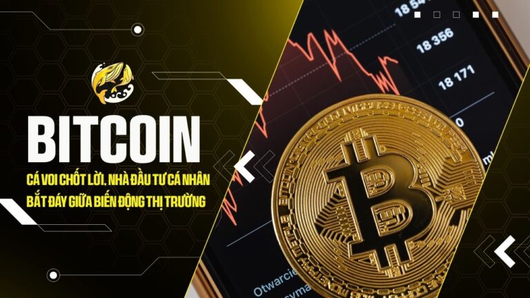 bitcoin ca voi chot loi nha dau tu ca nhan bat day giua bien dong thi truong