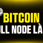 Bitcoin Full Node Là Gì? Vượt Xa Định Nghĩa: Lá Chắn Chủ Quyền & Tương Lai Phi Tập Trung Của Bạn