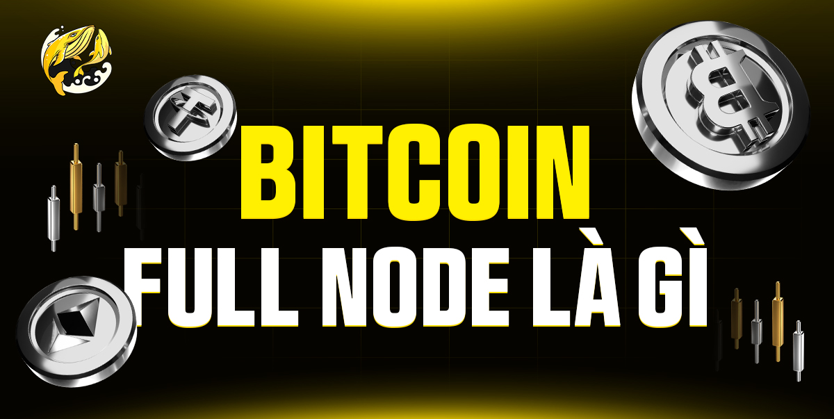 Bitcoin Full Node Là Gì?