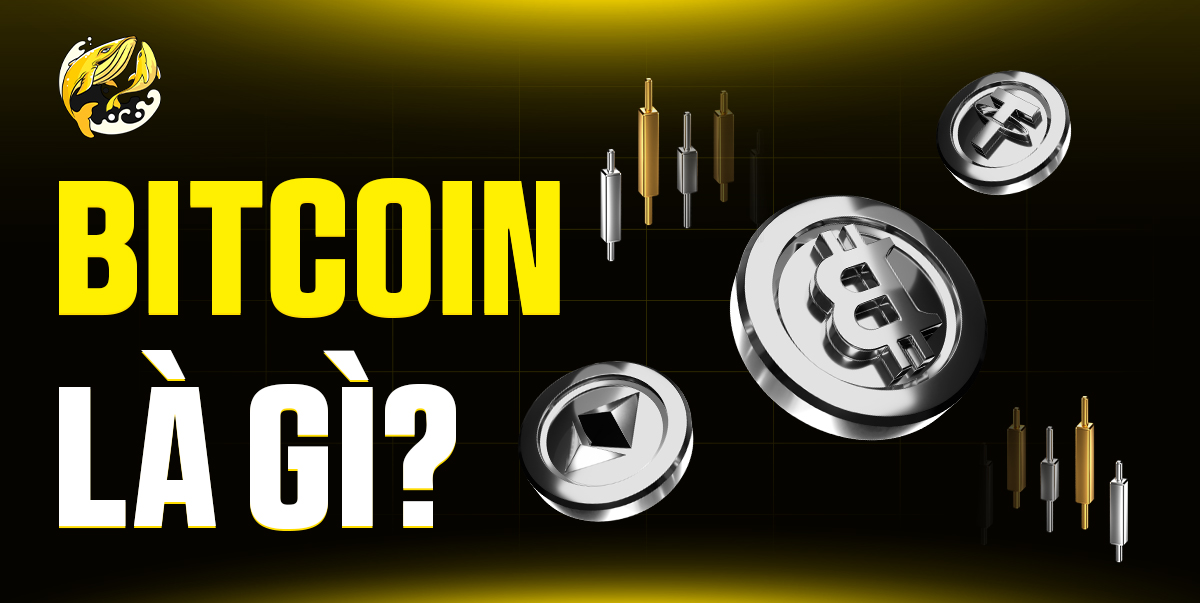 Bitcoin Là Gì? Giải Mã Từ Đồng Crypto Đầu Tiên Đến "Vàng Kỹ Thuật Số"