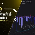ca voi crypto cat lo hang trieu do la bai hoc dat gia tu trump va sol sau 8 thang ngu dong