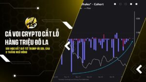 ca voi crypto cat lo hang trieu do la bai hoc dat gia tu trump va sol sau 8 thang ngu dong