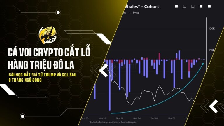 ca voi crypto cat lo hang trieu do la bai hoc dat gia tu trump va sol sau 8 thang ngu dong