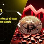 ca voi lang le gom hang co hoi nguoc dong giua luc bitcoin giam sau