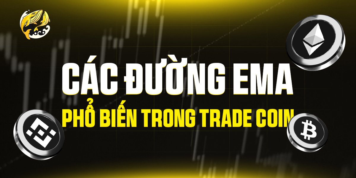 Các Đường EMA Phổ Biến Giúp Đọc Vị Xu Hướng Crypto Chuẩn Hơn 2026