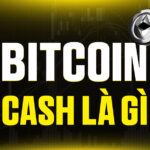 Bitcoin Cash (BCH) Là Gì? Giải Mã Đồng Tiền Điện Tử Phân Tách Từ Bitcoin