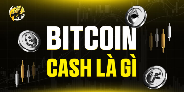 Bitcoin Cash (BCH) Là Gì? Giải Mã Đồng Tiền Điện Tử Phân Tách Từ Bitcoin