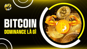 Bitcoin Dominance (BTC.D) Là Gì? Toàn Tập Về Chỉ Số 'Quyền Lực' Nhất Thị Trường Crypto