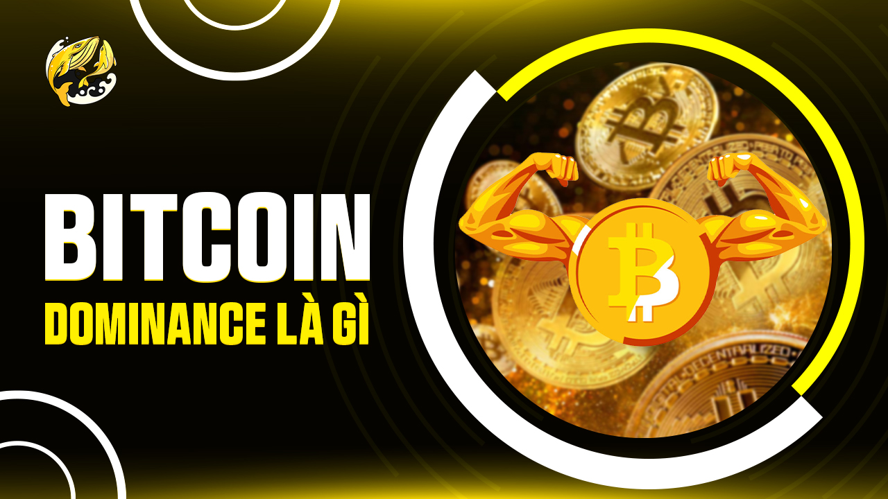 Bitcoin Dominance Là Gì?