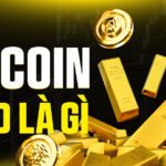 Bitcoin Gold (BTG) là gì? Khát vọng Dân chủ hóa Khai thác và Bài học từ một Hard Fork lịch sử