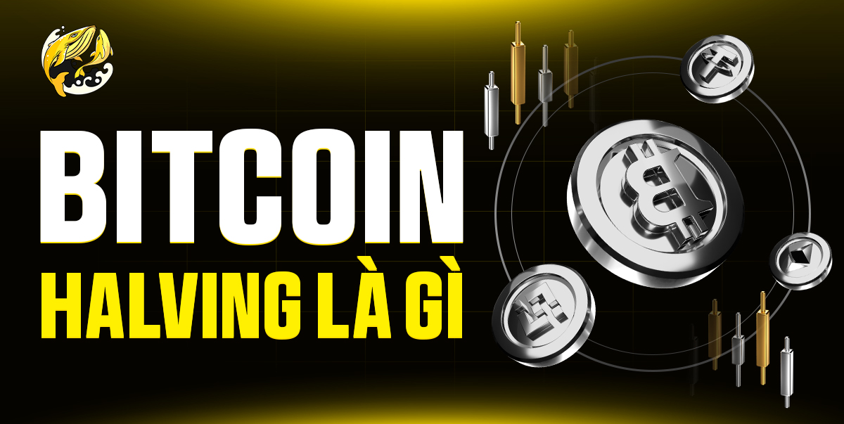 Bitcoin Halving Là Gì? Bước Ngoặt Mới Của BTC: Tác Động và Cơ Hội 2026