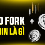 Hard Fork Bitcoin Là Gì? Giải Mã Cơ Chế & Những Cuộc Chia Rẽ Lịch Sử Của BTC