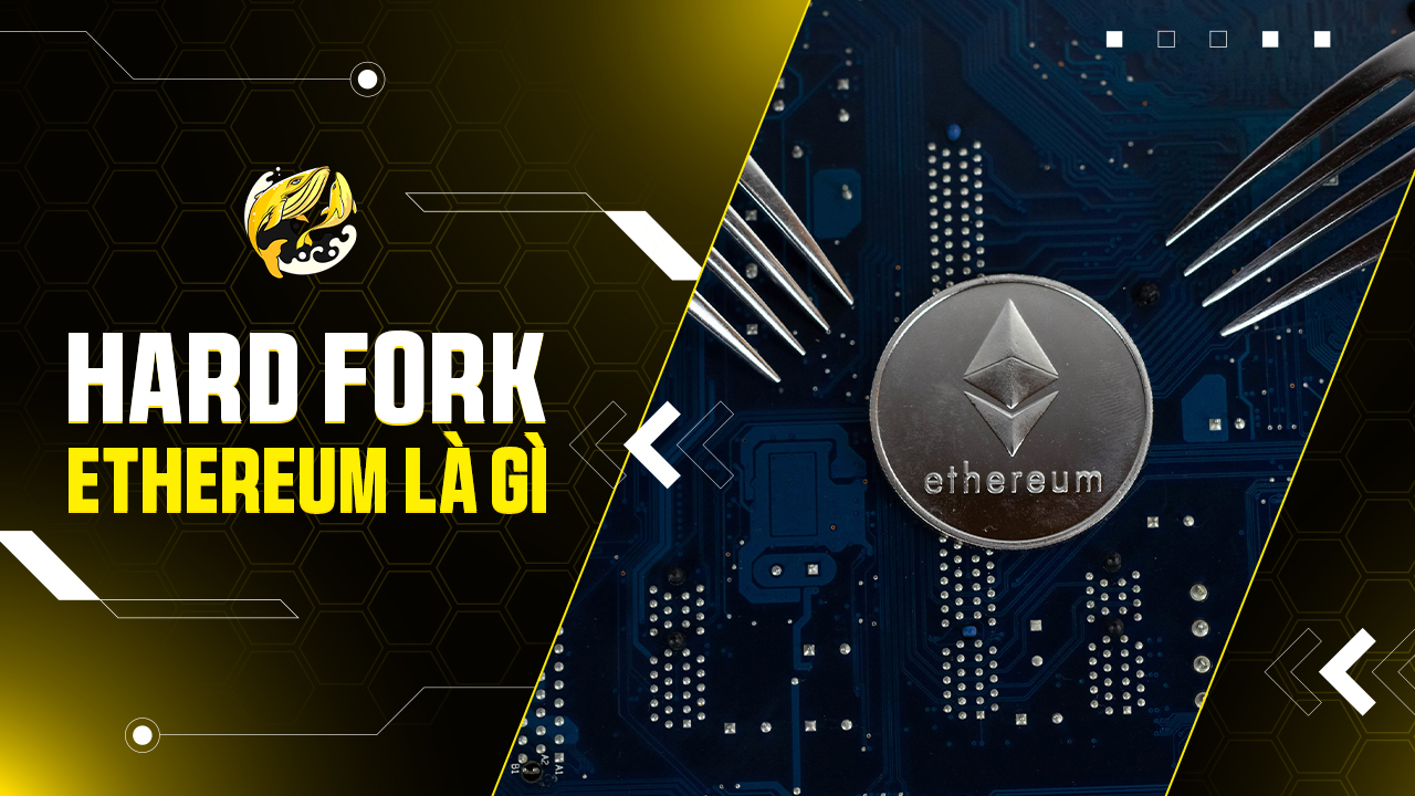 Hard Fork Ethereum Là Gì?