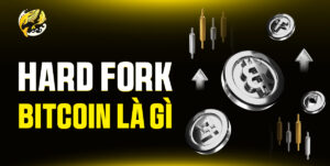 Hard Fork Bitcoin Là Gì? Giải Mã Cơ Chế & Những Cuộc Chia Rẽ Lịch Sử Của BTC
