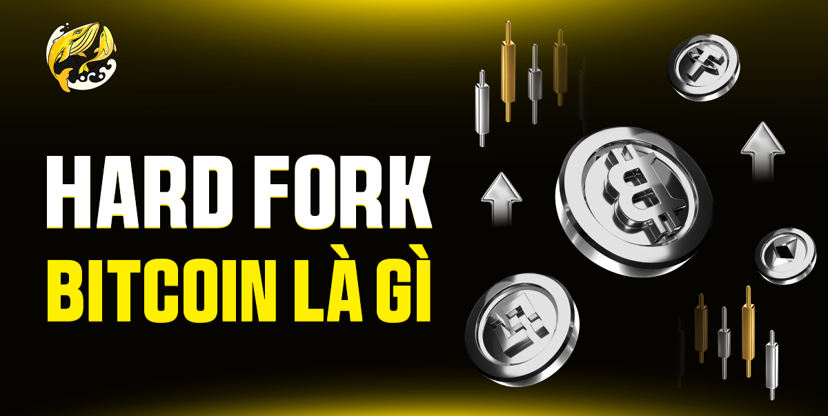 Hard Fork Bitcoin Là Gì?