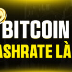 Bitcoin Hashrate Là Gì? Giải Mã 'Nhịp Tim' Bảo Mật Và Sức Mạnh Khai Thác Của Bitcoin