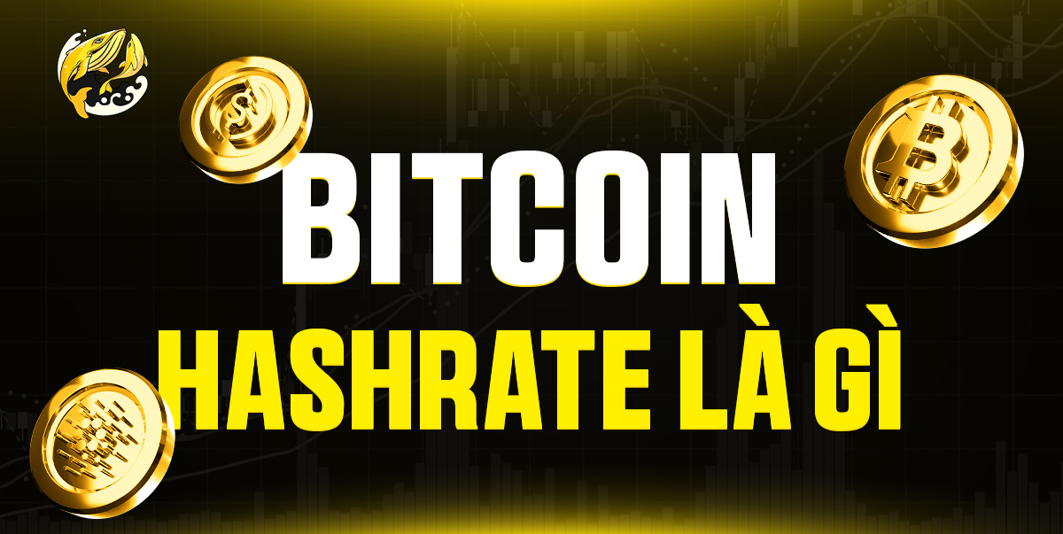 Bitcoin Hashrate Là Gì? Giải Mã 'Nhịp Tim' Bảo Mật