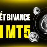 Liên kết Binance với MT5: Giải mã "Giấc mơ" tự động hóa và Hướng dẫn TOÀN DIỆN