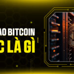 Máy Đào Bitcoin ASIC Là Gì? Cuộc Chiến Sống Còn Của "Trâu Cày" & Cơ Hội Nào Cho Anh Em 2026?