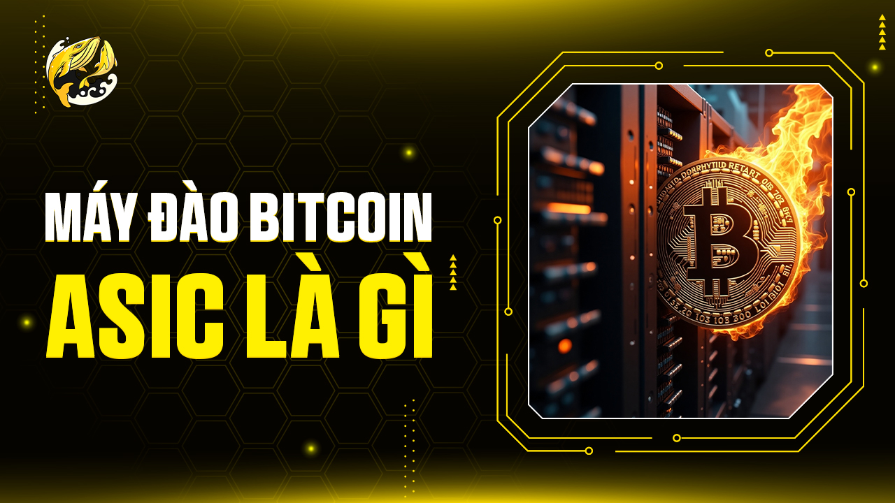 Máy Đào Bitcoin ASIC Là Gì?