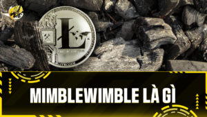 Giao diện của Beam, nơi Mimblewimble đang được mở rộng ứng dụng vượt ra ngoài định nghĩa truyền thống.