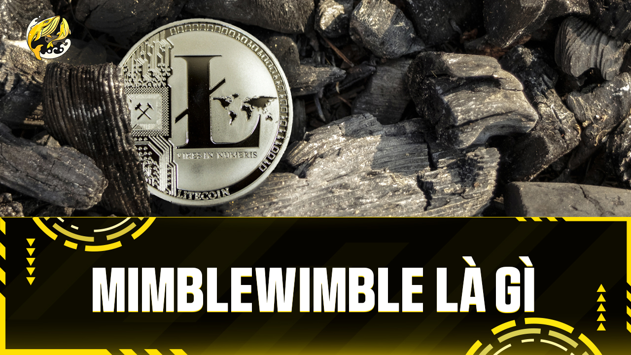 Mimblewimble Là Gì? Thần Chú Quyền Riêng Tư Đang Thay Đổi Cuộc Chơi