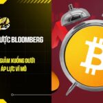 nha chien luoc bloomberg canh bao bitcoin co the giam xuong duoi 10000 usd giua ap luc vi mo