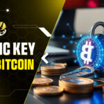 Public Key Bitcoin Là Gì? "Giải Mã" Khóa Công Khai: Nền Tảng Của Mọi Giao Dịch Và Bảo Mật Tài Sản