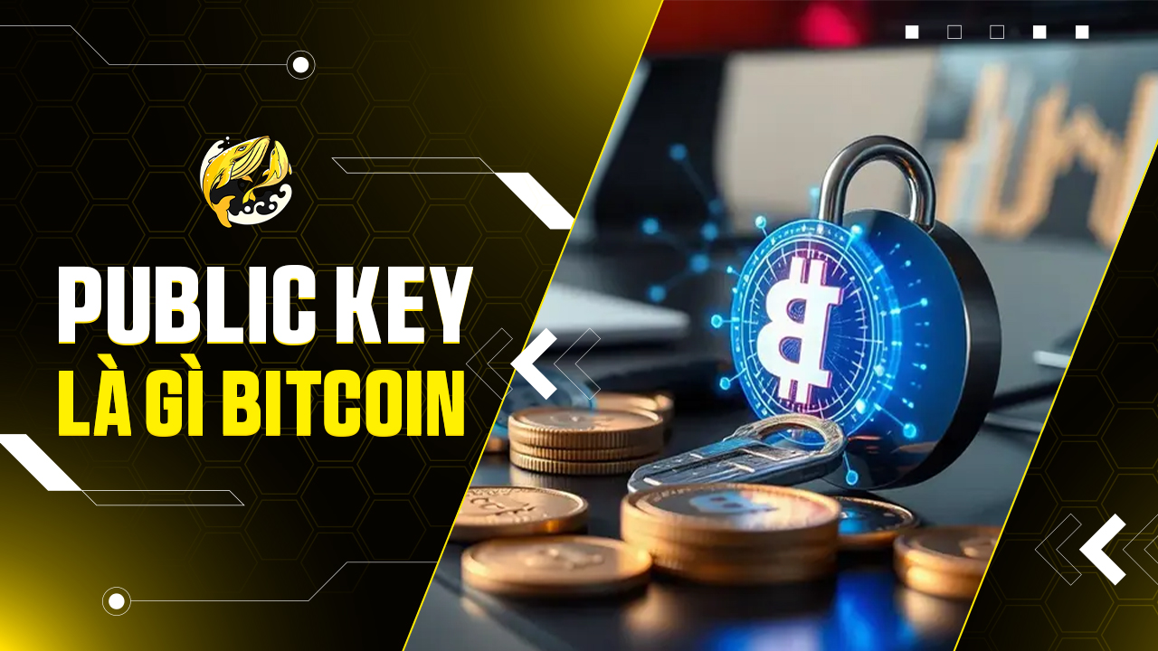 Public Key Bitcoin Là Gì?Nền Tảng Của Mọi Giao Dịch Và Bảo Mật Tài Sản