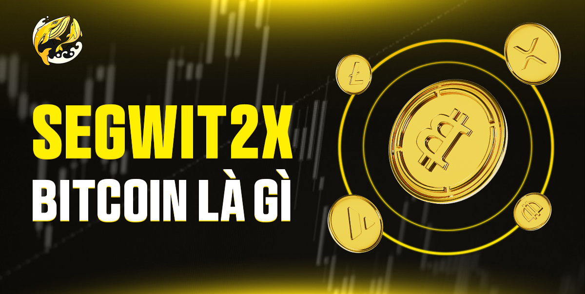 SegWit2x Bitcoin Là Gì? Cuộc Chiến Mở Rộng Quy Mô Định Hình Tương Lai